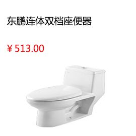 上海雷邦仕屋頂防水補(bǔ)漏材料